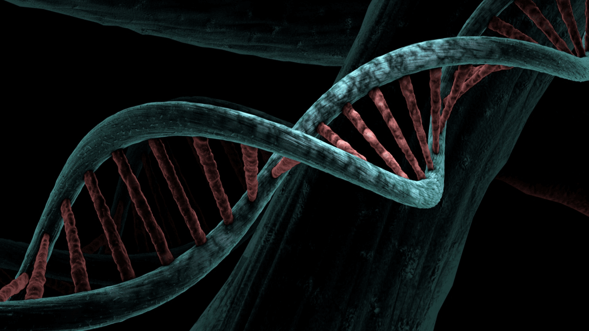 Bringing Allelic's Genetic Testing & Counselling Platform Online